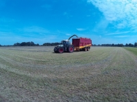 15550002