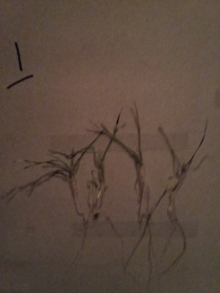 20160210 211335