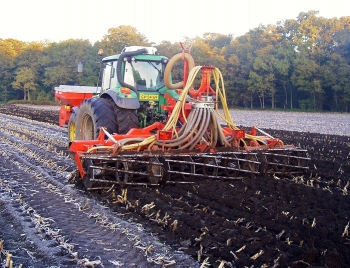 groenbemester achterkant